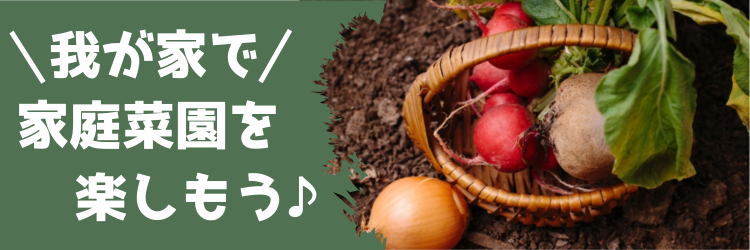 cook 今日なに作ろ？